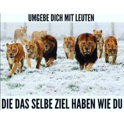 Ebook Marlik
